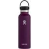 Hydro Flask 21OZ Standard Mouth Eggplant (S21SX540)
